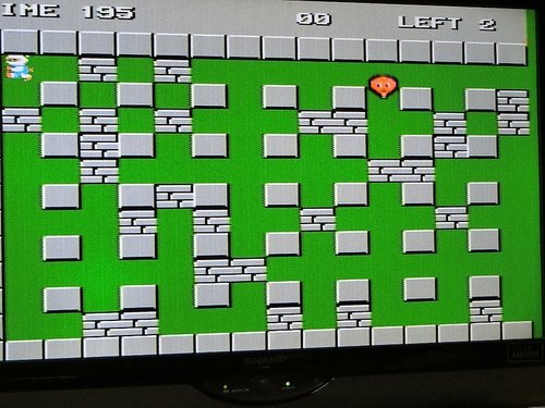 033.JPG